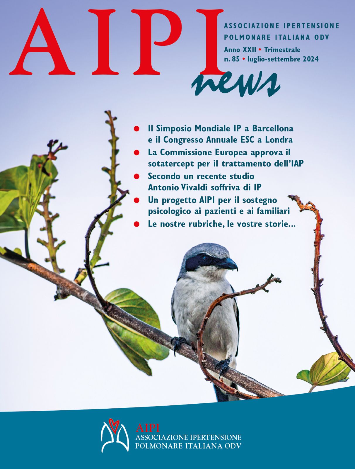 AIPI News n.85 - 2024